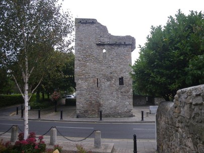 Archbold's Castle Dublin - Wikimedia Commons.jpg